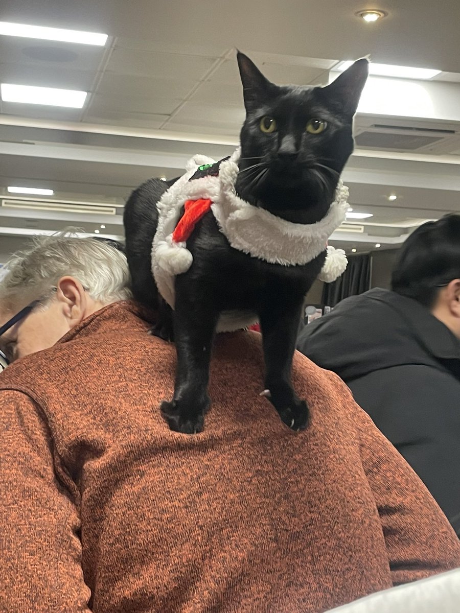 Sara Hattersley tweet media