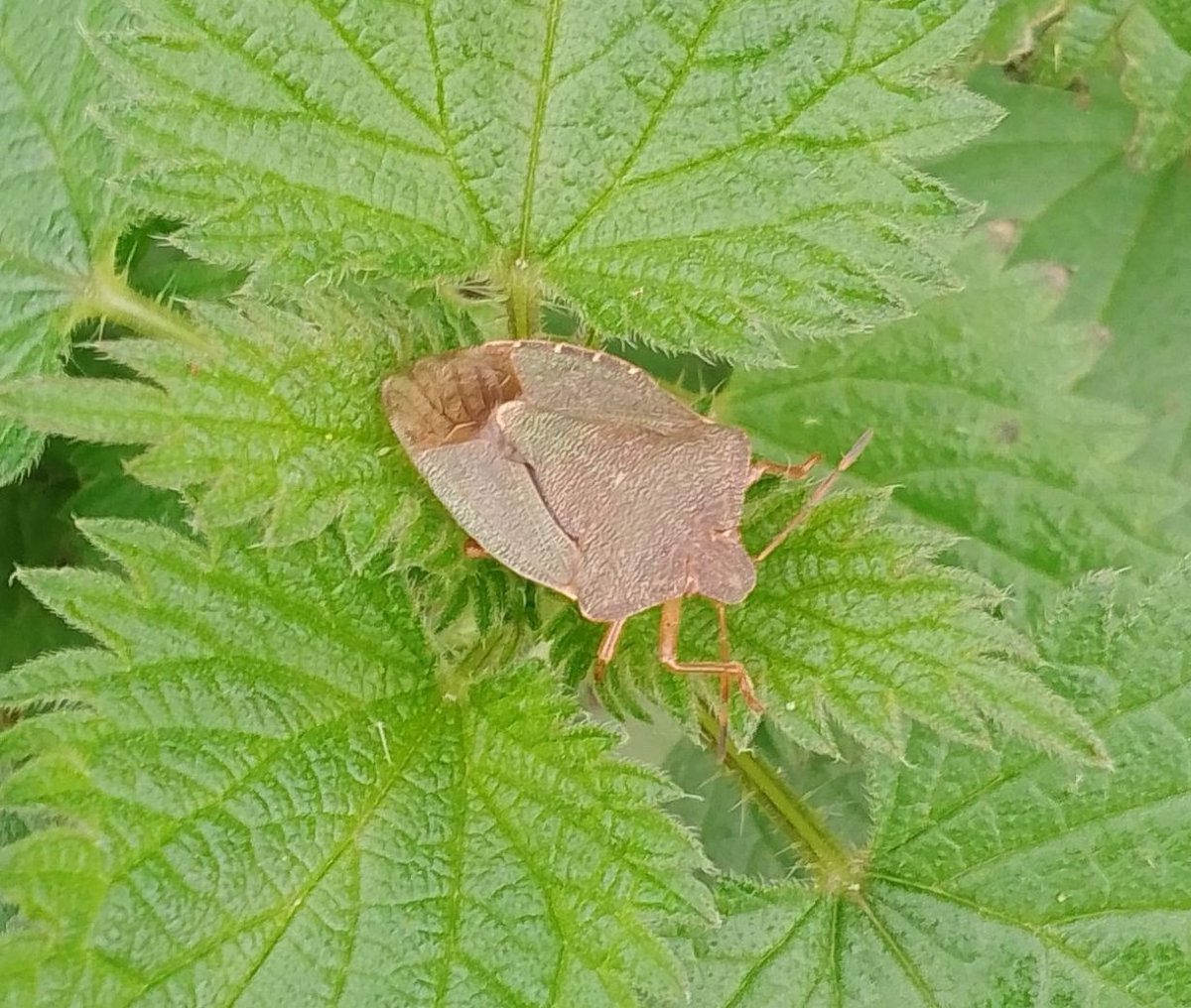 Stephen Blaskett tweet media