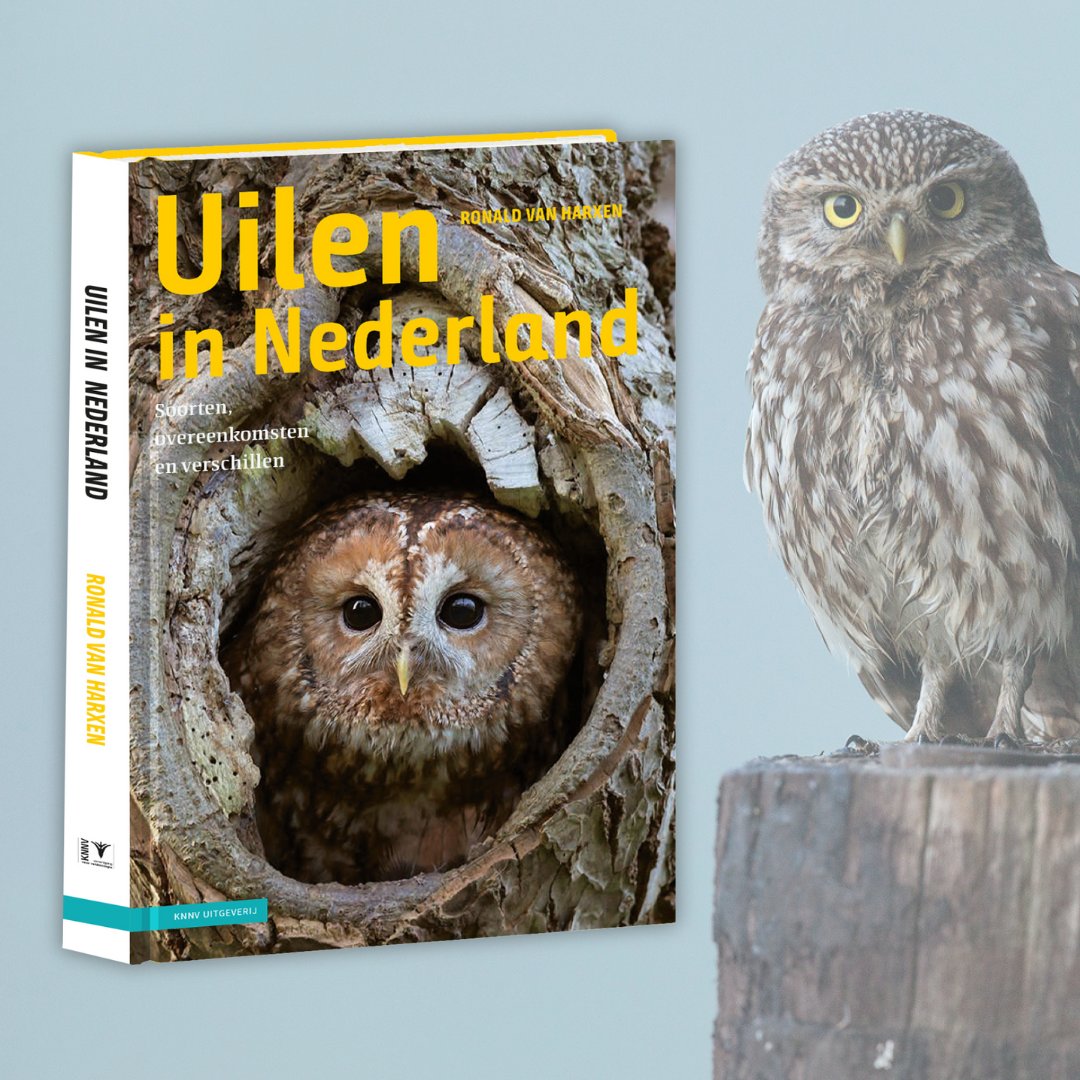 Kerkuil, bosuil, steenuil... 🦉 In 'Uilen in Nederland' maak je kennis met de Nederlandse uilensoorten. Cadeautip voor elke #vogelliefhebber🎁

Nieuw! ➡️knnvuitgeverij.nl/artikel/uilen-…