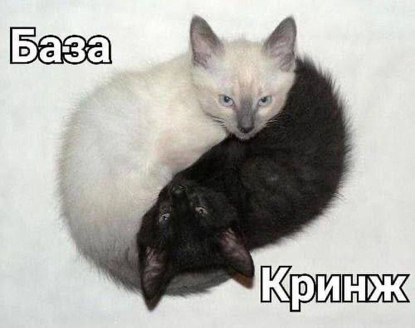 соблюдайте баланс вселенной