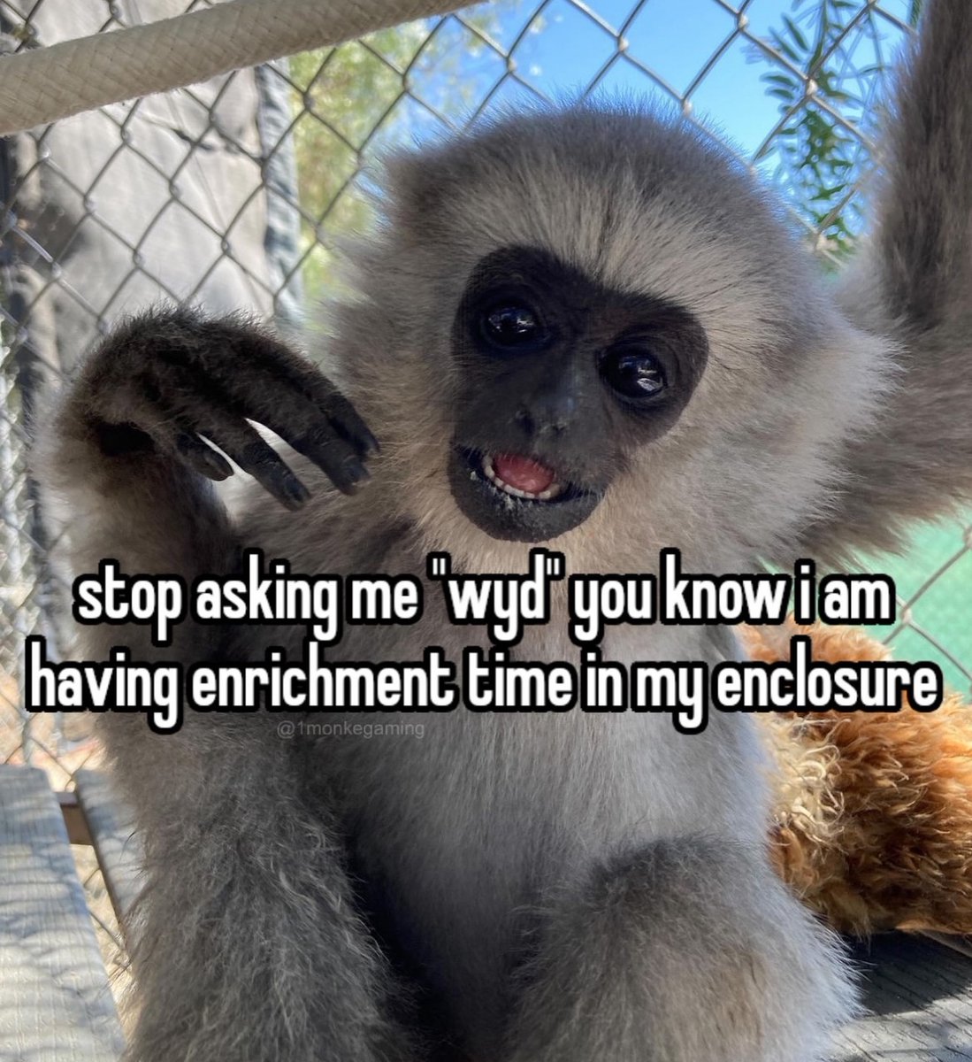 isabelle (@isabellepretend) on Twitter photo 