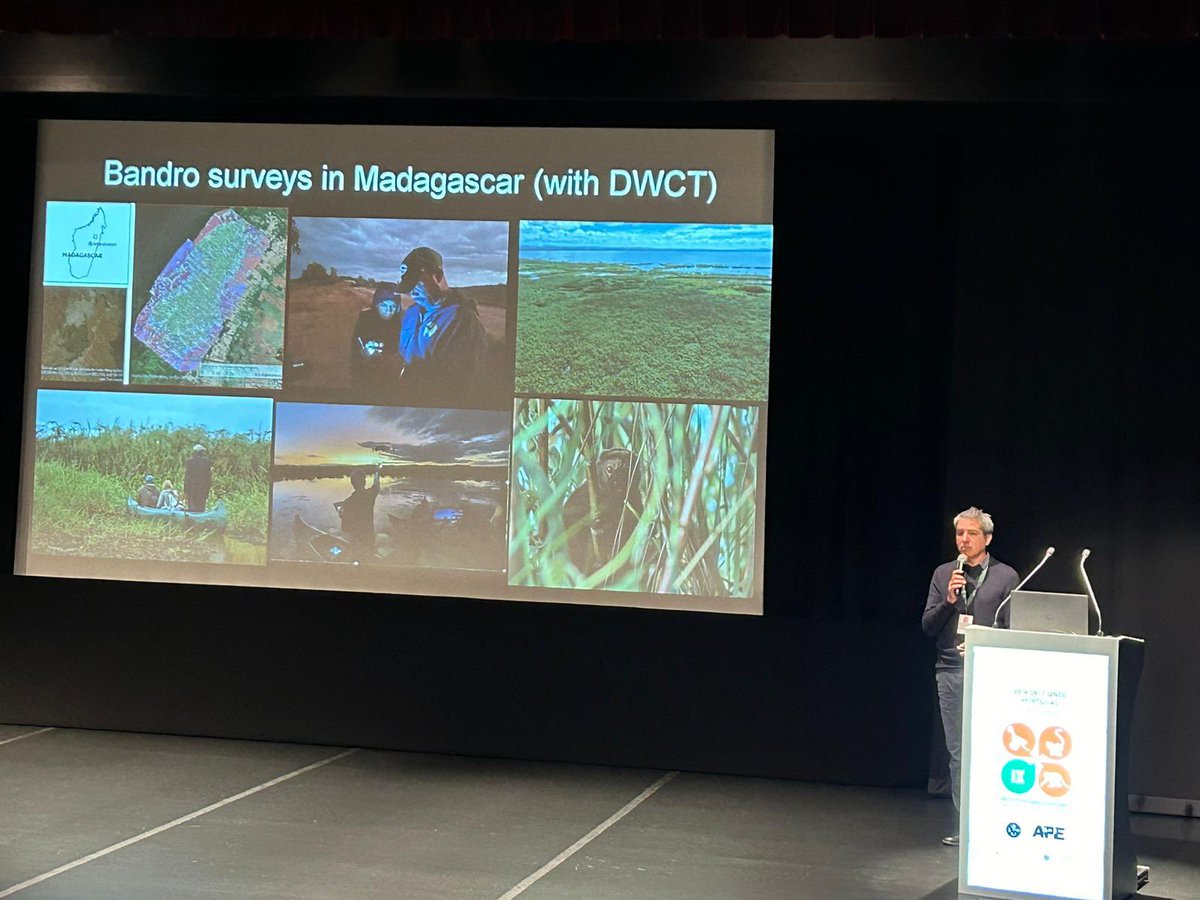 APP - Portuguese Primatological Association (@app_portuguese) on Twitter photo A great start to the round of plenary sessions with Prof Serge Wich on drone technology and applications to Primate Conservation
#IXIPC <a href="/APEspain/">APE</a> <a href="/CIBIO_InBIO/">BIOPOLIS-CIBIO</a> <a href="/cm_viladoconde/">CM Vila do Conde</a> A great start to the round of plenary sessions with Prof Serge Wich on drone technology and applications to Primate Conservation
#IXIPC <a href="/APEspain/">APE</a> <a href="/CIBIO_InBIO/">BIOPOLIS-CIBIO</a> <a href="/cm_viladoconde/">CM Vila do Conde</a>