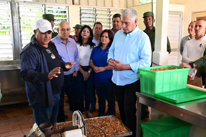 Foto: @PresidenciaCuba
