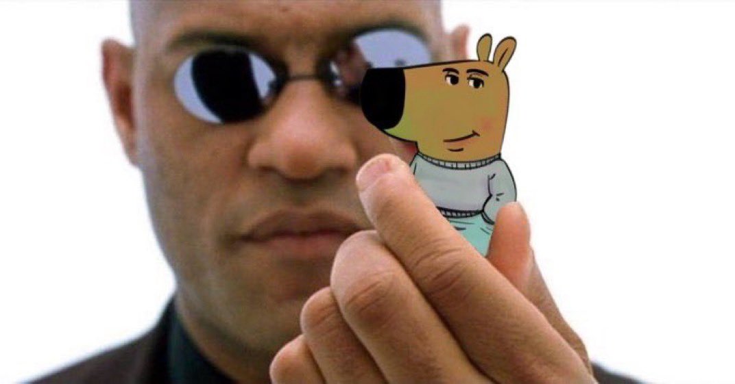 Chillguyogsol's tweet photo. I didn't choose a red or blue pill. 

I choose to be a #chillguy instead. https://t.co/eI9CoGCKtJ