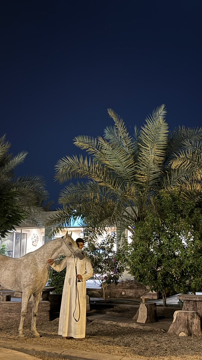 ns_xii's tweet photo. ليلة عزّ 😍🐎 https://t.co/qcbAcP7dv1