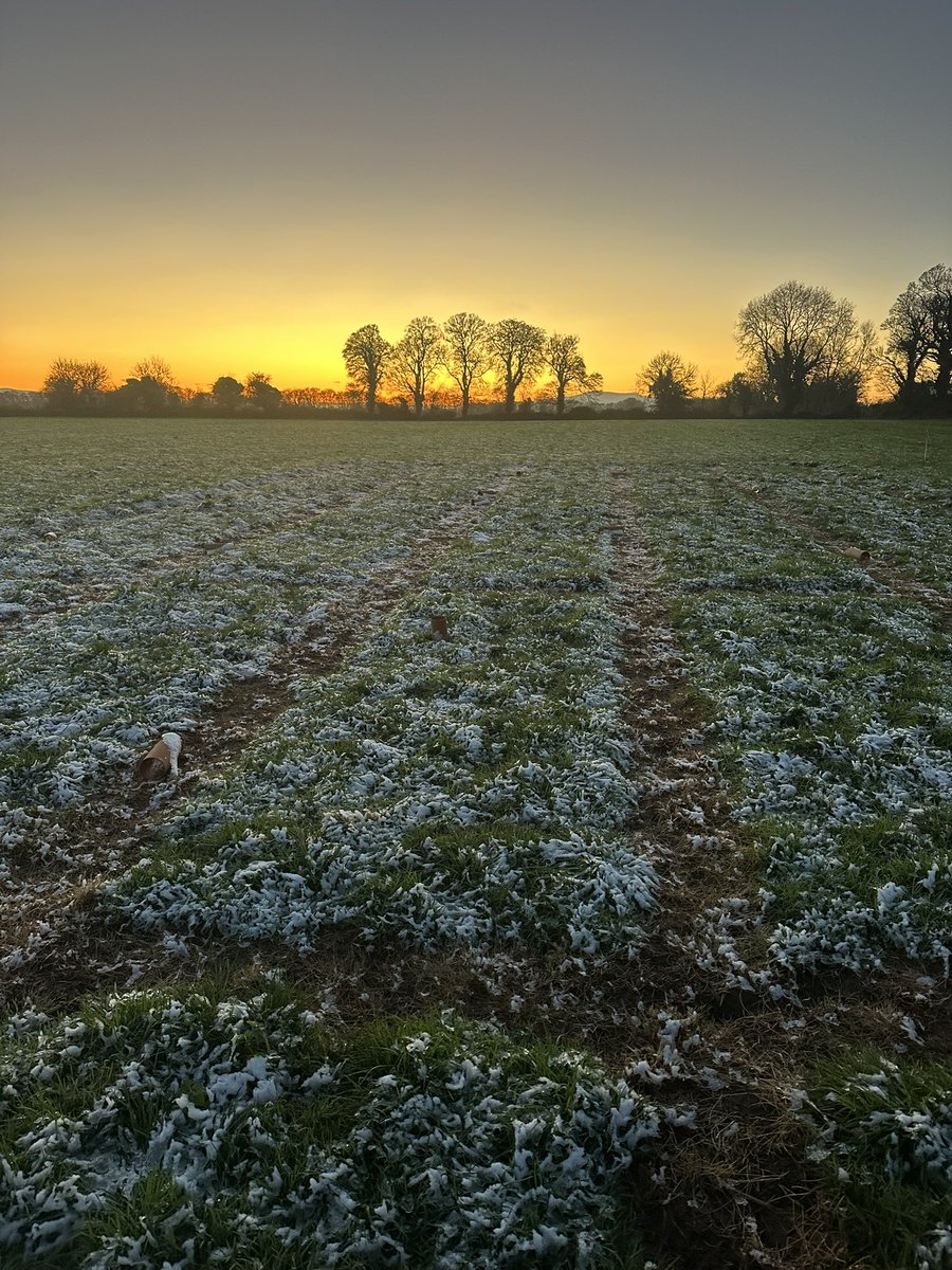 Now that’s a cold day of sampling🔬❄️! Our soil drainage test is meeting completion!