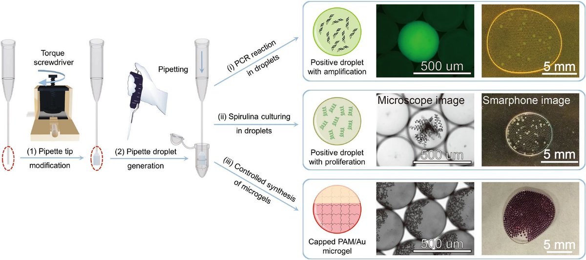 Here's an article that shows how (semi-) quantitative digital droplet PCR can be done using a homemade microfluidic droplet prototyping toolkit. The authors detected and roughly quantified human GAPDH RNA transcripts using standard PCR laboratory equipment - very cool!

By way of