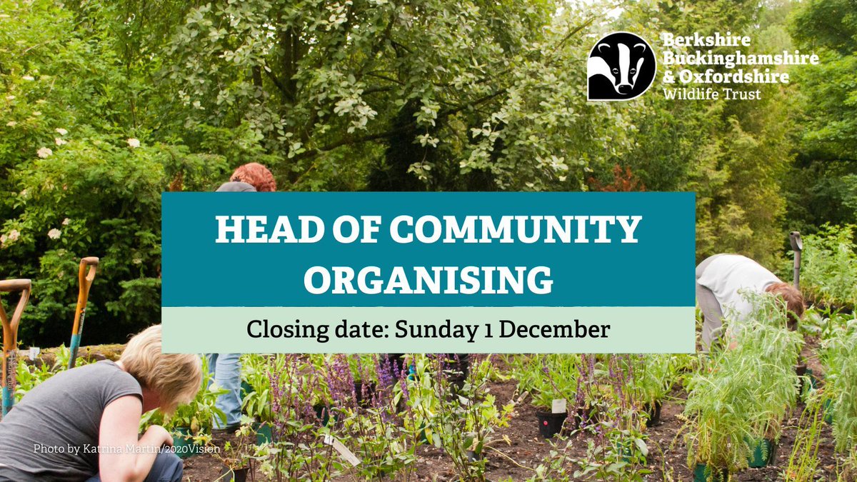 We're hiring 📢 

The Head of Community Organising will help nature recover by driving an inclusive and dynamic community organising model to promote sustainable community led action for nature. 

Find out more and apply here buff.ly/3YECWeF