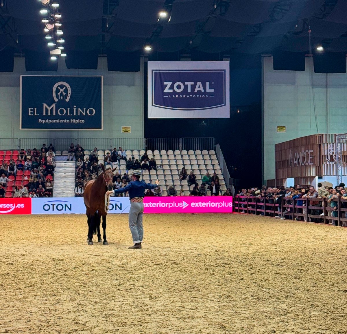 Exterior Plus tweet media