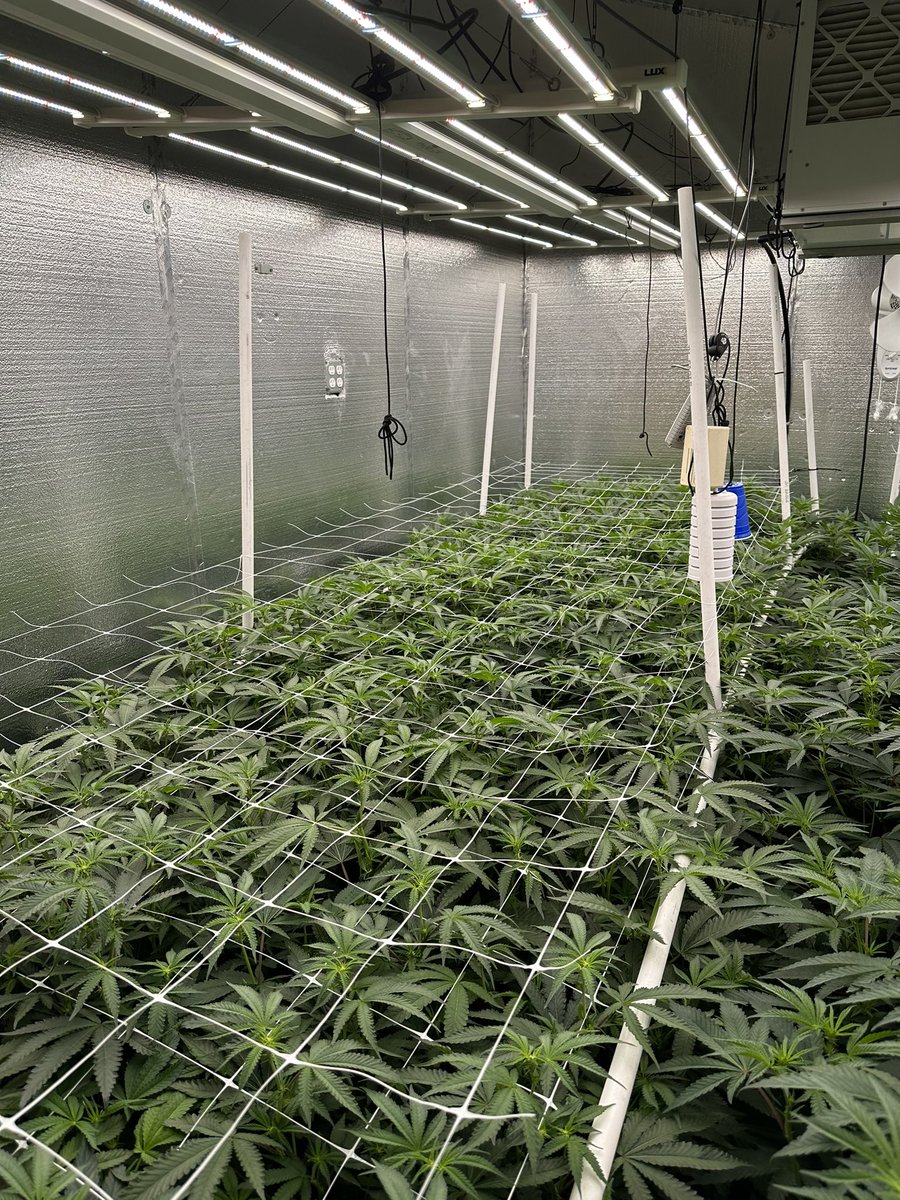 Dammit__Bobby_ tweet media