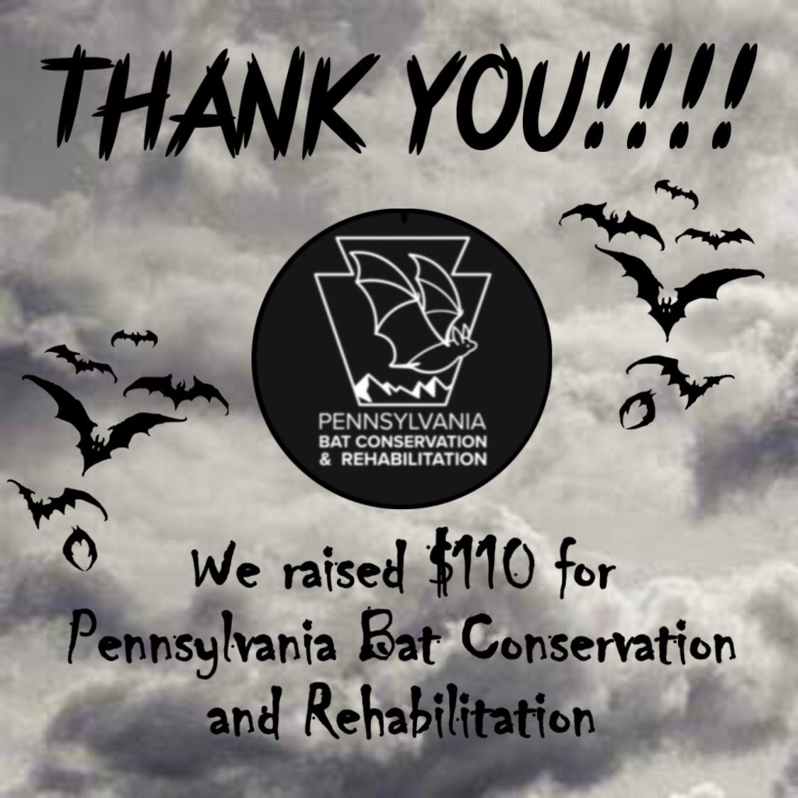 FriendsofRA_NYC's tweet image. A VERY belated thank you from our Halloween Party- we raised $110 for @pabatrescue! Thank you all!