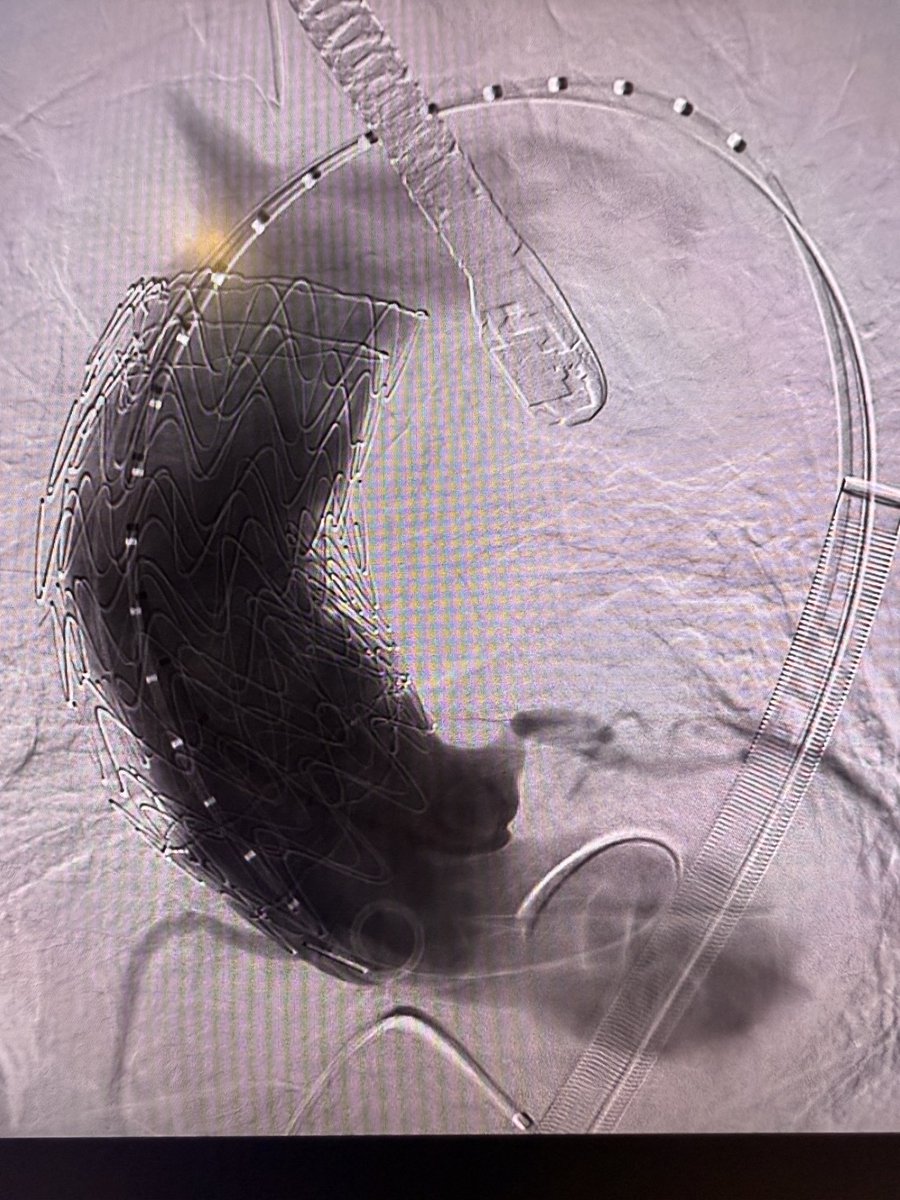 Dr Michael Wilderman tweet media