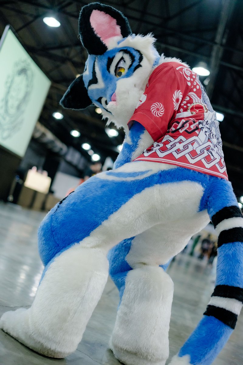 Oh,Are you looking at 🍑?

📸<a href="/howard5566183/">迪麗雅 ➡️FurryMit</a> 

#FursuitFriday