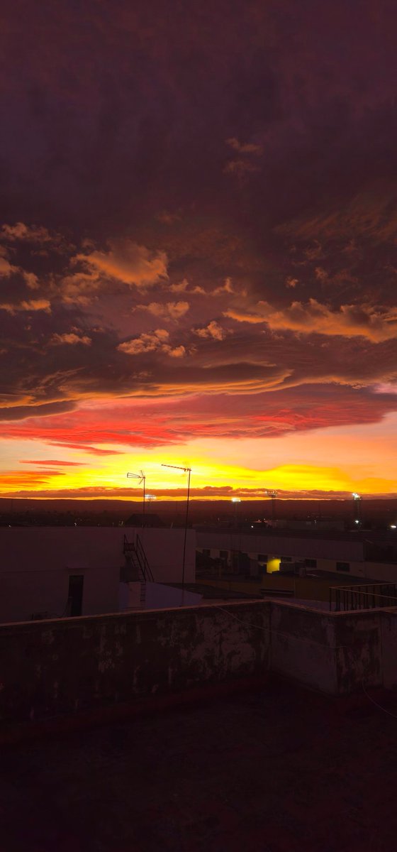 AlexHervasBoix's tweet photo. @Valencia_WX @mauricioospina5 @hombremierder @vicentjacinto L'Alcúdia (València) https://t.co/qyVN5GRXJg