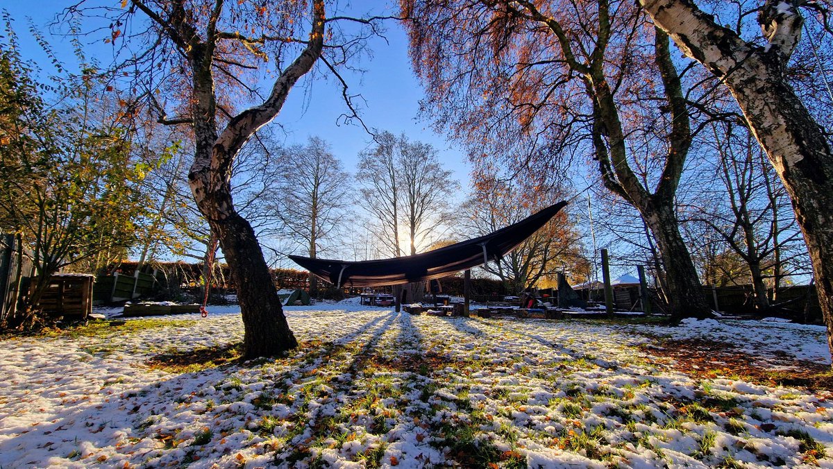 Wild Bears Forest School CIC tweet media