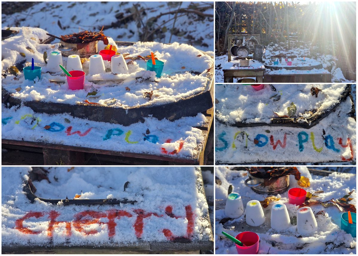 Wild Bears Forest School CIC tweet media