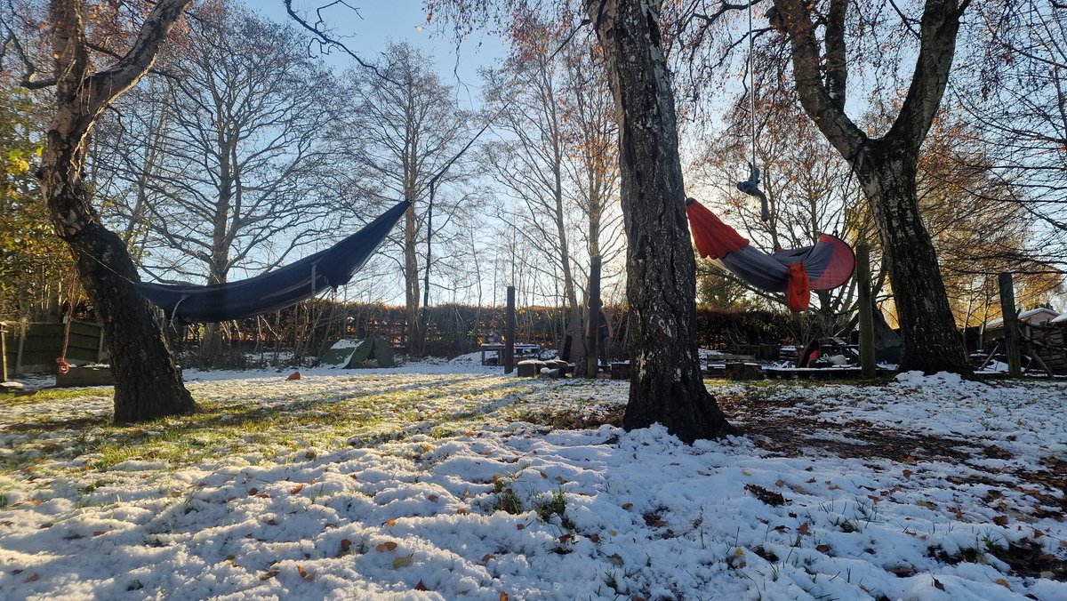 Wild Bears Forest School CIC tweet media