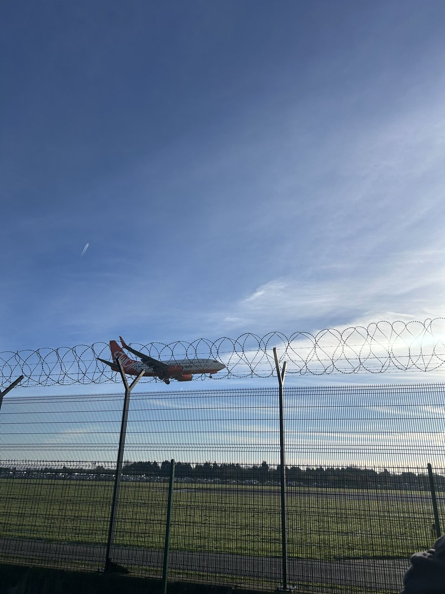 Amylowry💙 tweet media