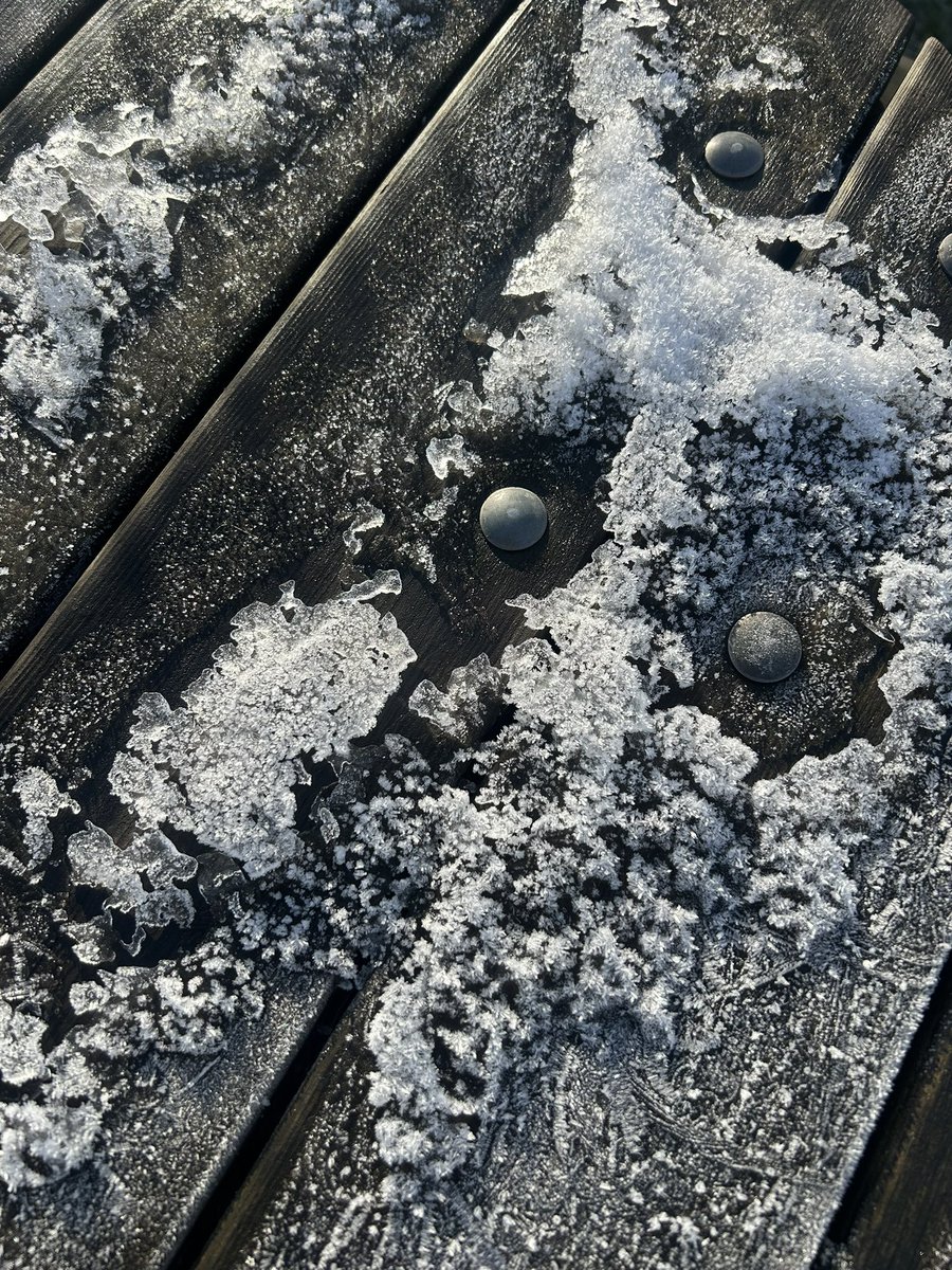 Amylowry💙 tweet media