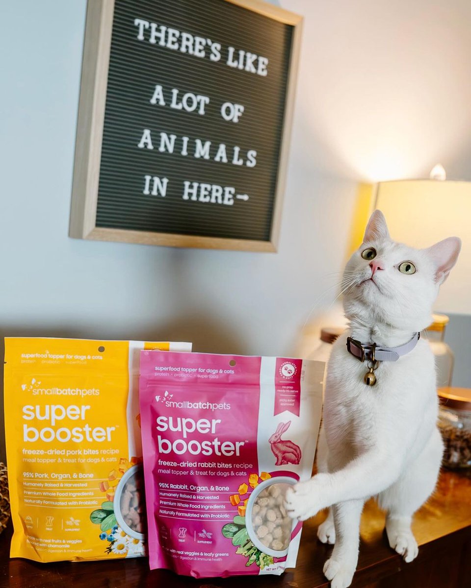 Smallbatch Super Boosters are the purr-fect topper or treat for your bestie! They're made with 95% humanely-raised meat, organ &amp; bone, plus, boosted with a probiotic, omega 3 &amp; 6 fatty acids &amp; a unique superfood. Shop the spread online bit.ly/49xltaS