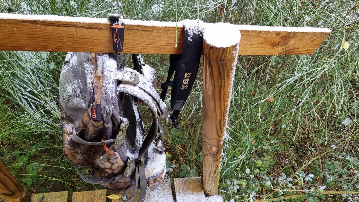 Les premières neiges ❄️❄️