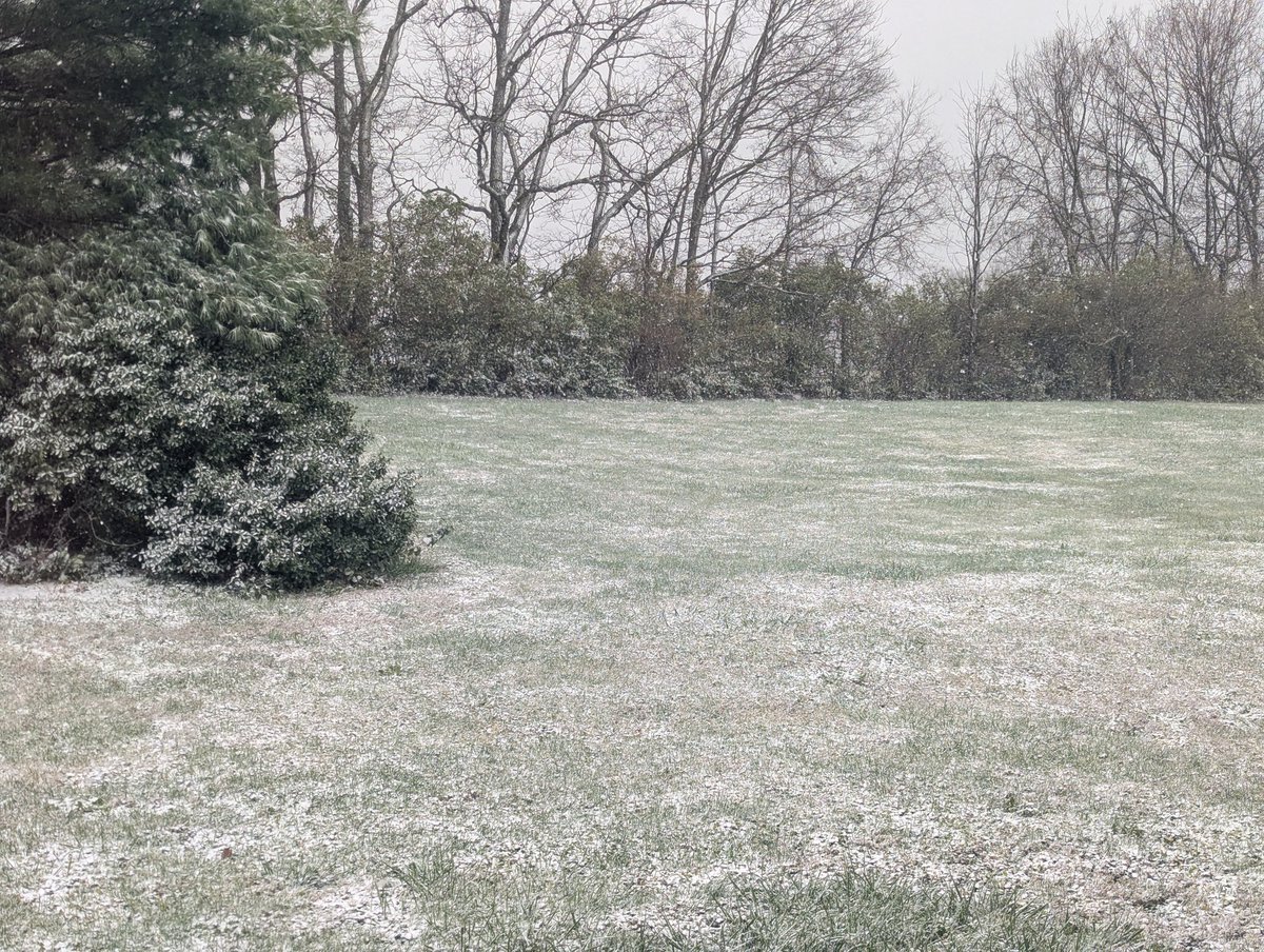 skream's tweet image. Sticking to grass and rooftops in Nicholasville @Kentuckyweather #kywx