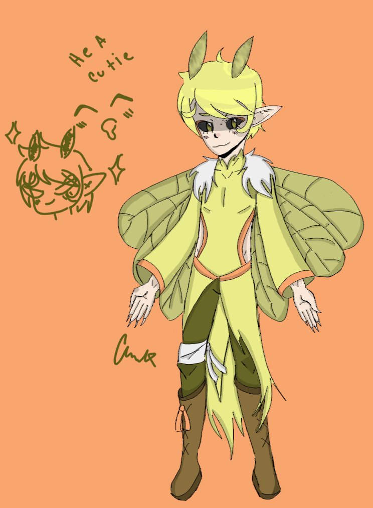 💡Luum💡 tweet media