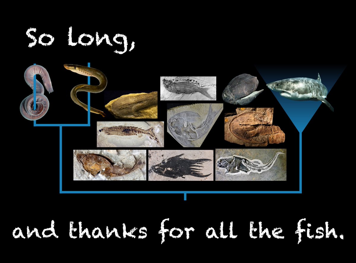 Joseph Keating tweet media