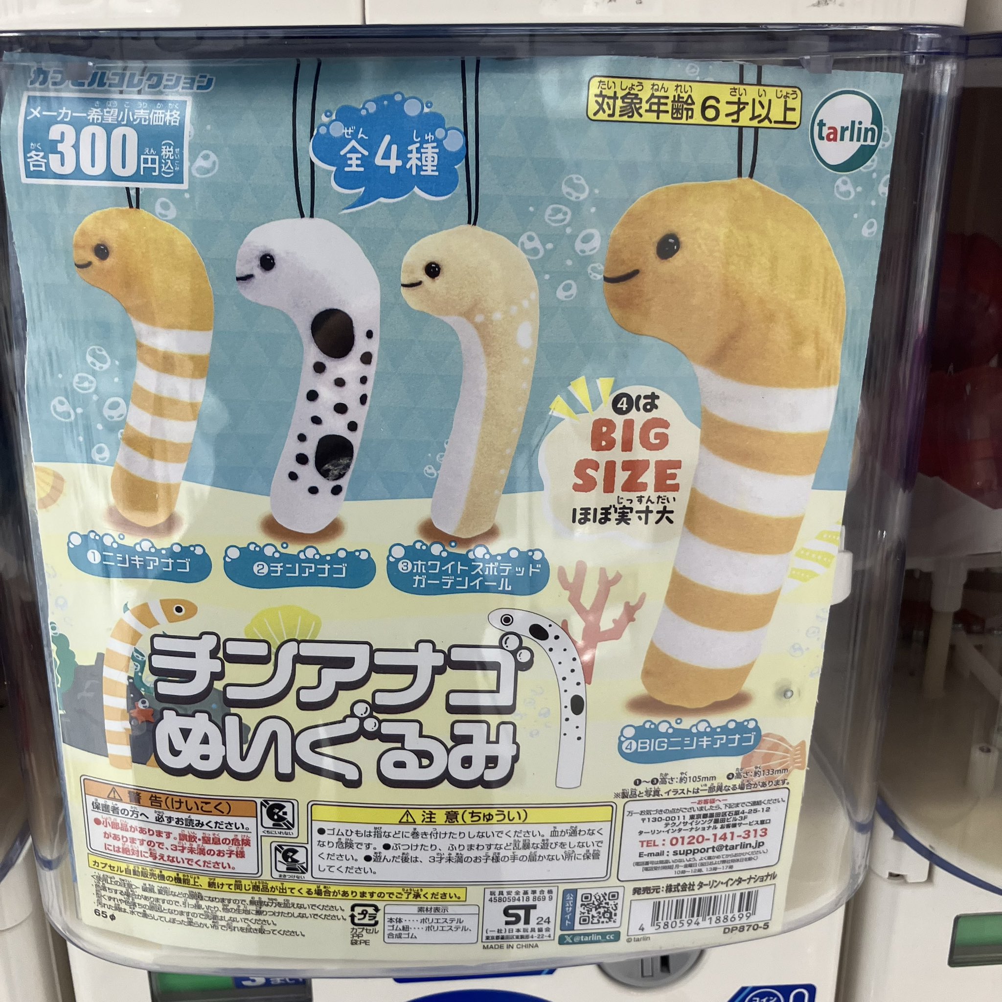 チンアナゴのぬいぐるみ チンアナゴ グッズ ぬいぐるみ 水族館お土産 アミューズ AMUFUN
