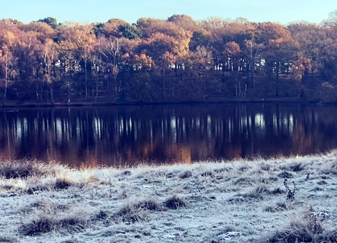 After a week of reformer Pilates, weights and some horrific ‘legs, bums and tums’ 80’s throwback class, I was grateful for a gentle walk admiring the scenery this morning. #walkwasmoreofahobble