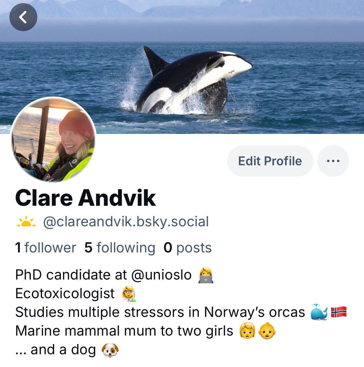 Clare Andvik tweet media