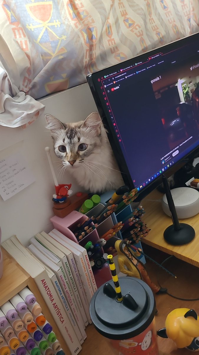 zyulla's tweet image. Essa gosta de lugar apertado