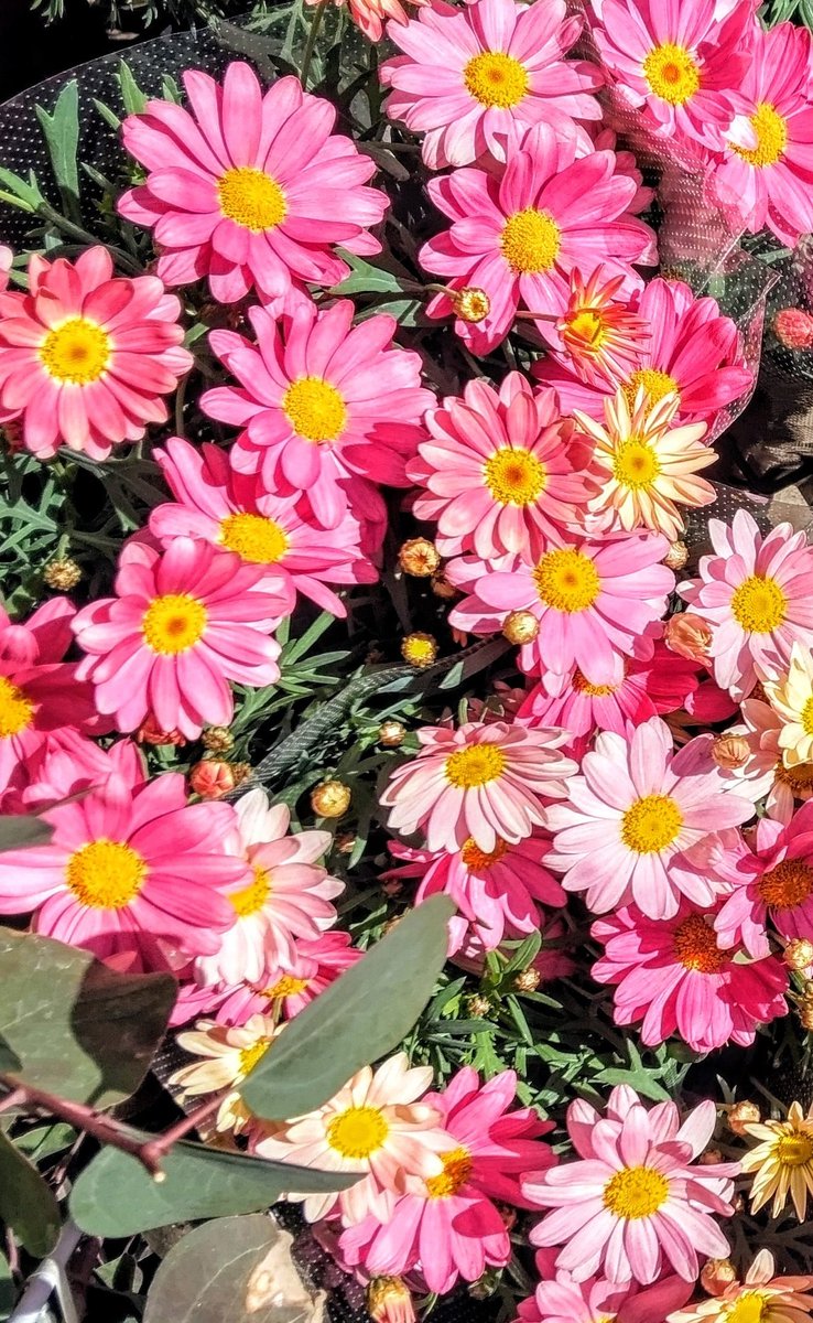 dHO7aGyR4D2z5hH's tweet image. 🌸おはようございます🌸
     11月22日 (金曜日)

寒い中、毎日お仕事ご苦労様です。暖かくして｢行ってらっしゃいま((🙋｣🌸

#日本保守党
『日本を豊かに、強く』団結🇯🇵力💪
#あさ8

｢リハビリ｣の金曜😅頑張ってきます。痛いだろうなぁ~~~~~🌸

🏯名古屋の皆様。
#頑張って下さい💪
#広沢一郎一択