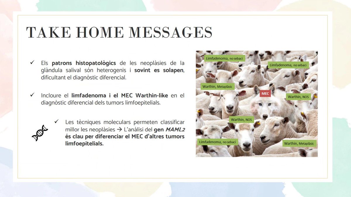 Bellvitge Pathology tweet media