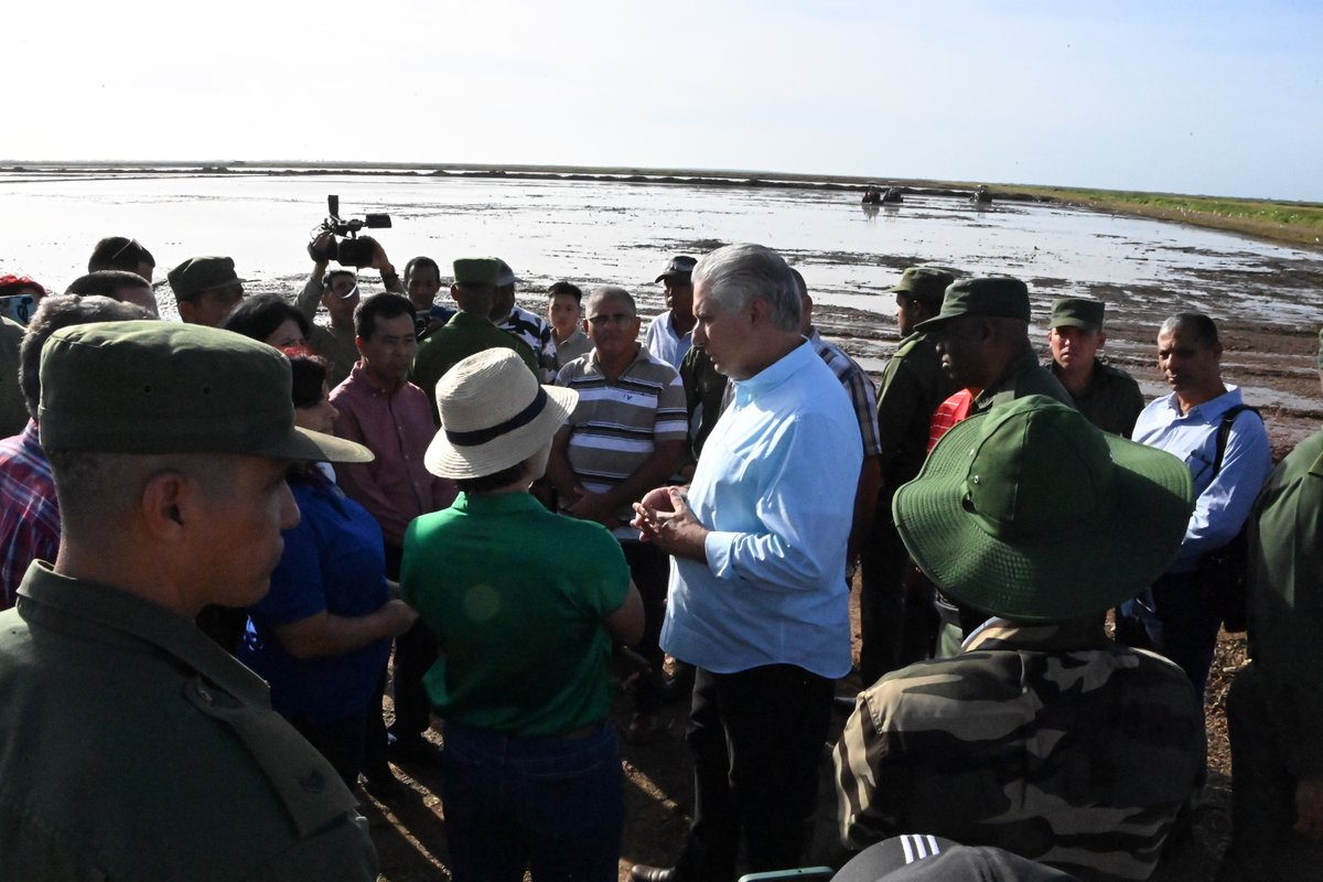 Un Proyecto de Inversión Extranjera con una empresa  vietnamita que concibe plantar 1000 ha de arroz se desarrolla en la UEB "Semillas Cubanacán", Los Placios. Las labores  para sembrar 300 ha antes de terminar el año fue comprobada por <a href="/DiazCanelB/">Miguel Díaz-Canel Bermúdez</a> y <a href="/DrRobertoMOjeda/">Dr. Roberto Morales Ojeda</a>