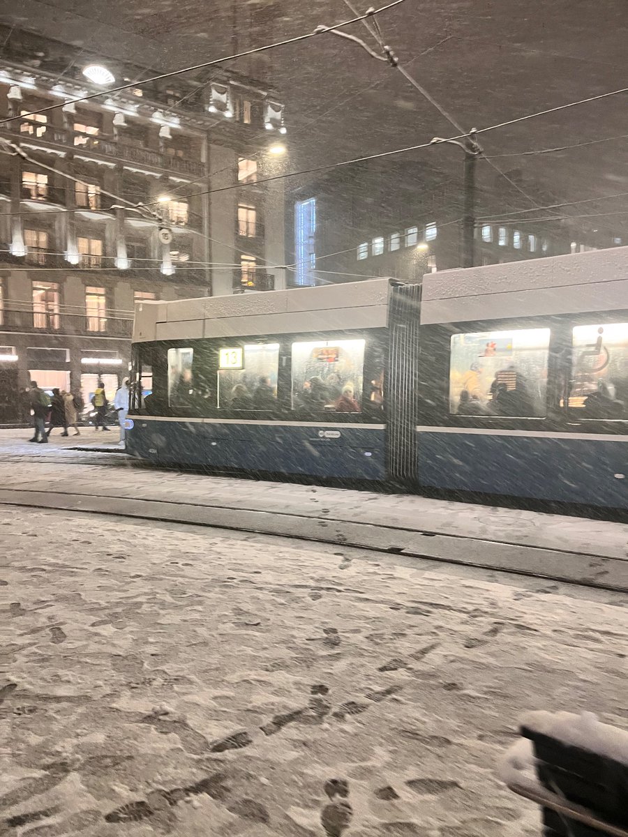 eins_potterhead's tweet image. #FirstSnow in #Zuerich ☃️🇨🇭

#lucy #bahnhofstrasse