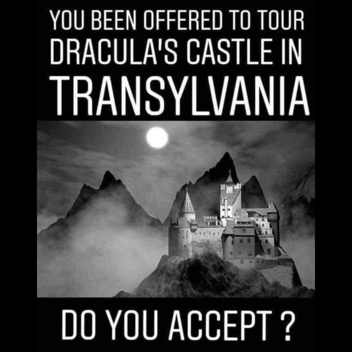 ImmortalBitesDB's tweet photo. Who's in?

#Horrorfam https://t.co/MRT1w5nhZU