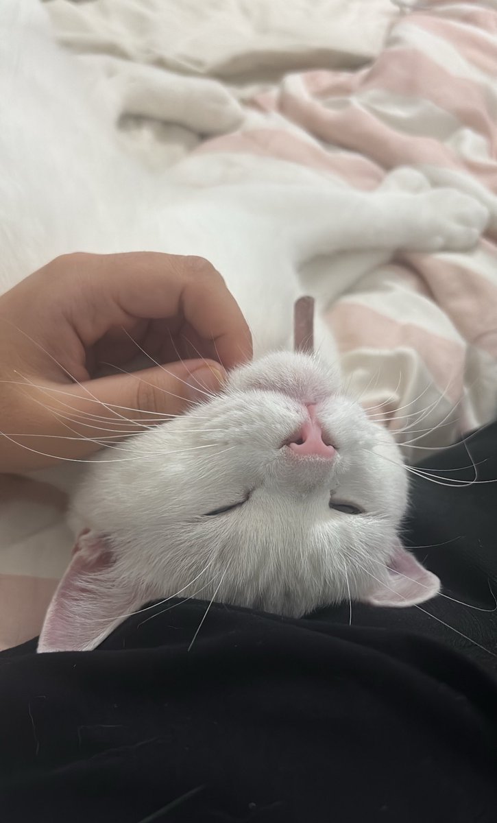 c’était le dernier dodo avec mon petit bébé j’en reviens pas