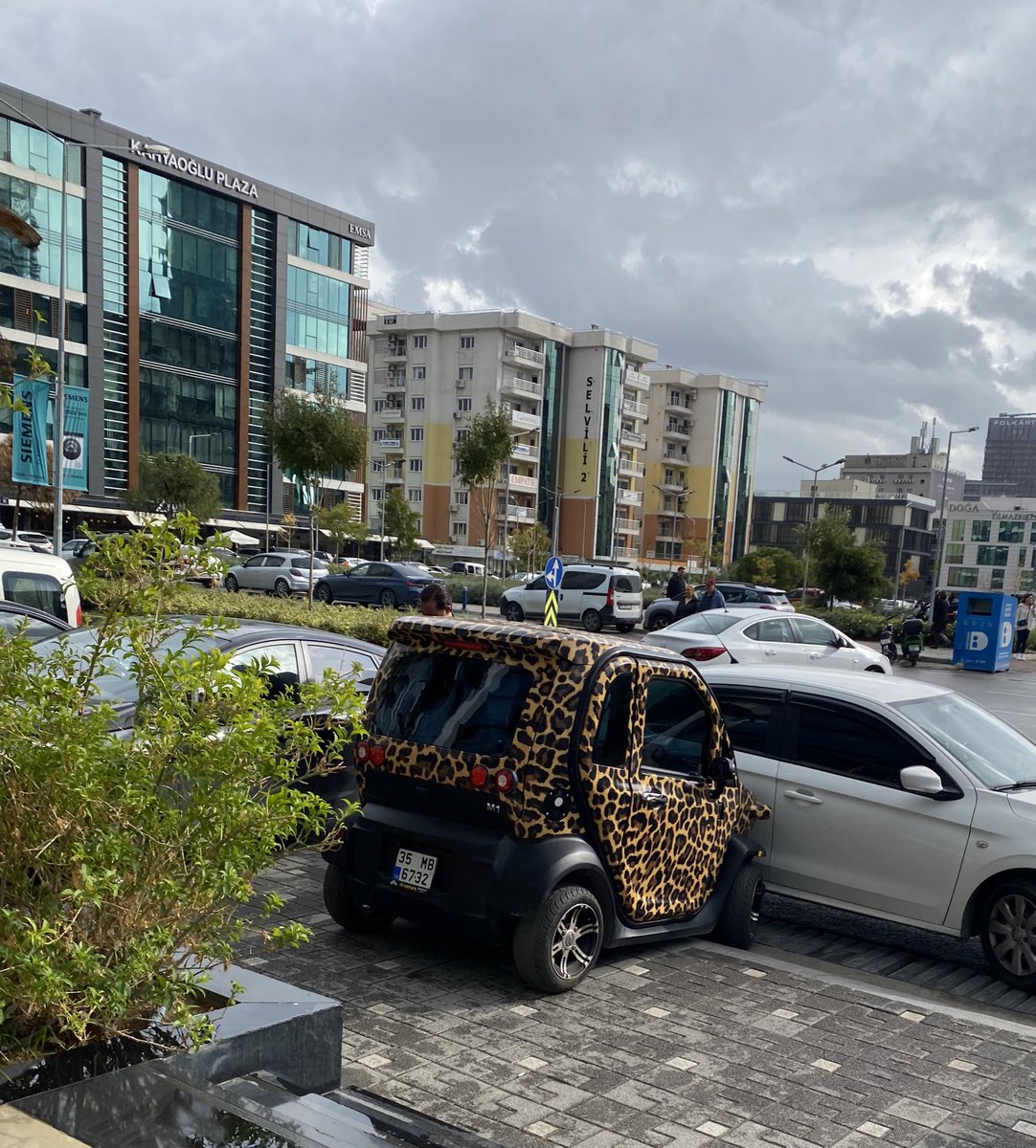 Leopar sevgim ektedir