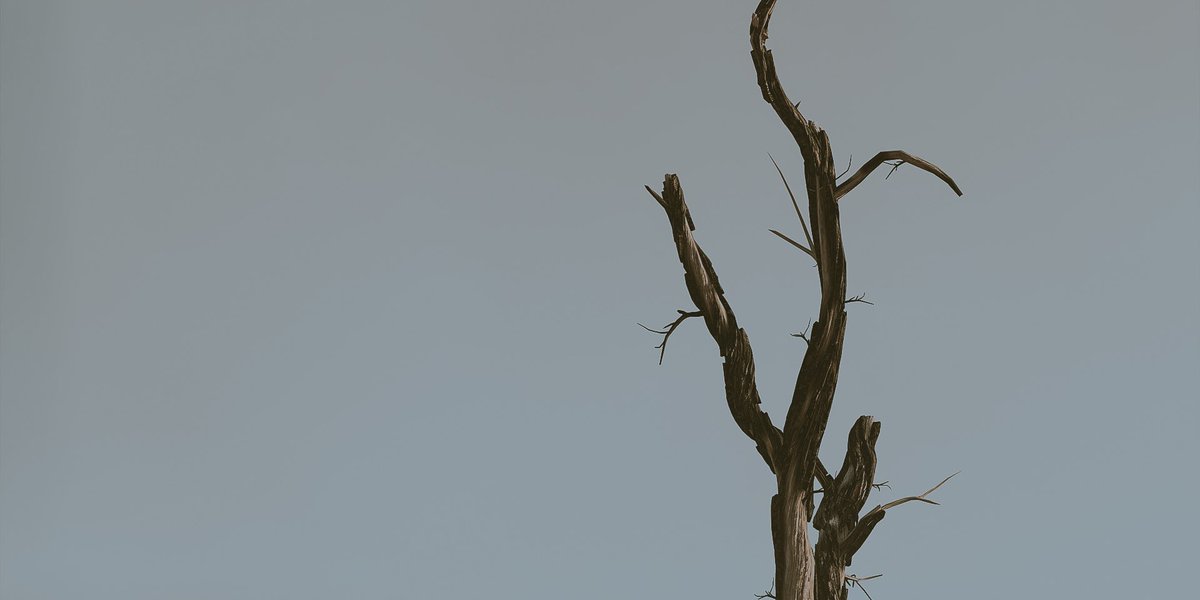 infinite 💙 without fulfillment tweet media