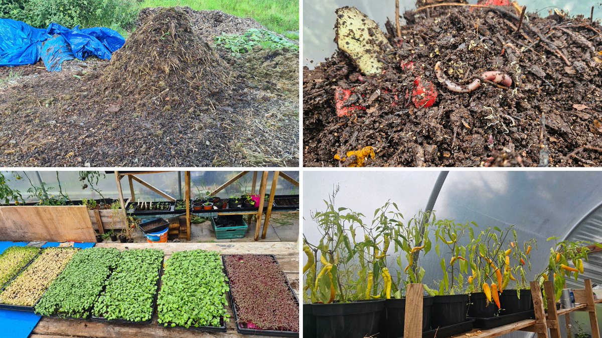 fermanaghomagh's tweet image. 🌎#EuropeanWeekForWasteReduction &amp;amp; we&apos;re highlighting the action by Owenkillew Community Centre, Gortin to reduce food waste

🥕They were the 1st in the #FODC area to open a community fridge, have a community garden &amp;amp; food forest &amp;amp; compost on-site👉bit.ly/FOFoodWasteAct…