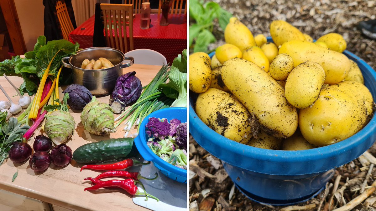 fermanaghomagh's tweet image. 🌎#EuropeanWeekForWasteReduction &amp;amp; we&apos;re highlighting the action by Owenkillew Community Centre, Gortin to reduce food waste

🥕They were the 1st in the #FODC area to open a community fridge, have a community garden &amp;amp; food forest &amp;amp; compost on-site👉bit.ly/FOFoodWasteAct…