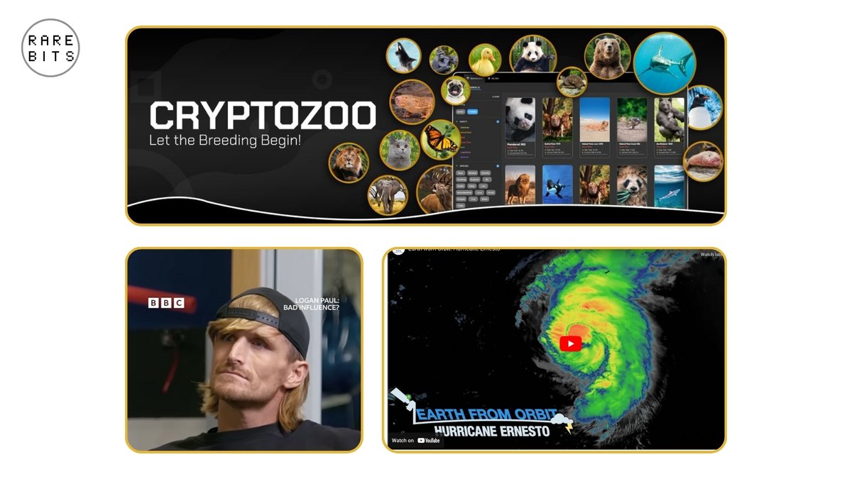 chrisberlin's tweet image. . @LoganPaul's latest move: 
Pranking the BBC by staging an interview during a hurricane with a lookalike. #cryptozoo