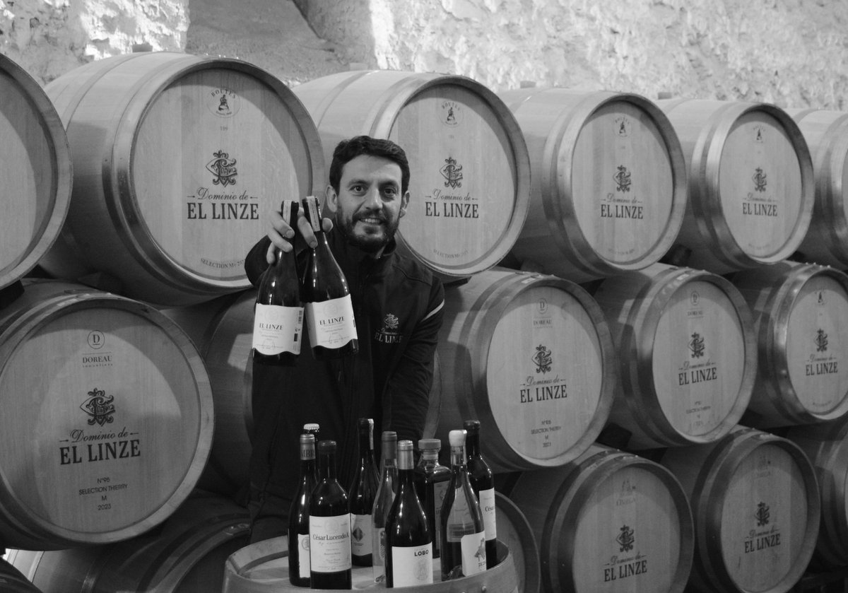 11anforas's tweet photo. Nuestro vino insignia #ElLinze, obtiene de nuevo 95 puntos en las catas a ciegas que realiza anualmente el sumiller sueco Andreas Larsson, el que fue mejor sumiller del mundo. Vamos sumando 4 añadas con la puntuación la más alta para un vino español ✨️🍷🙌 https://t.co/Nr3qZDLTys