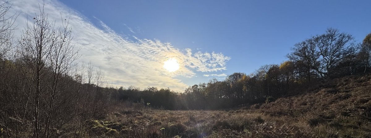 Julian Cooper tweet media