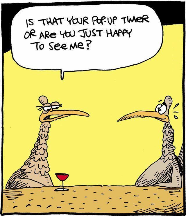 SouthernVaCpl's tweet image. #thanksgivinghumor