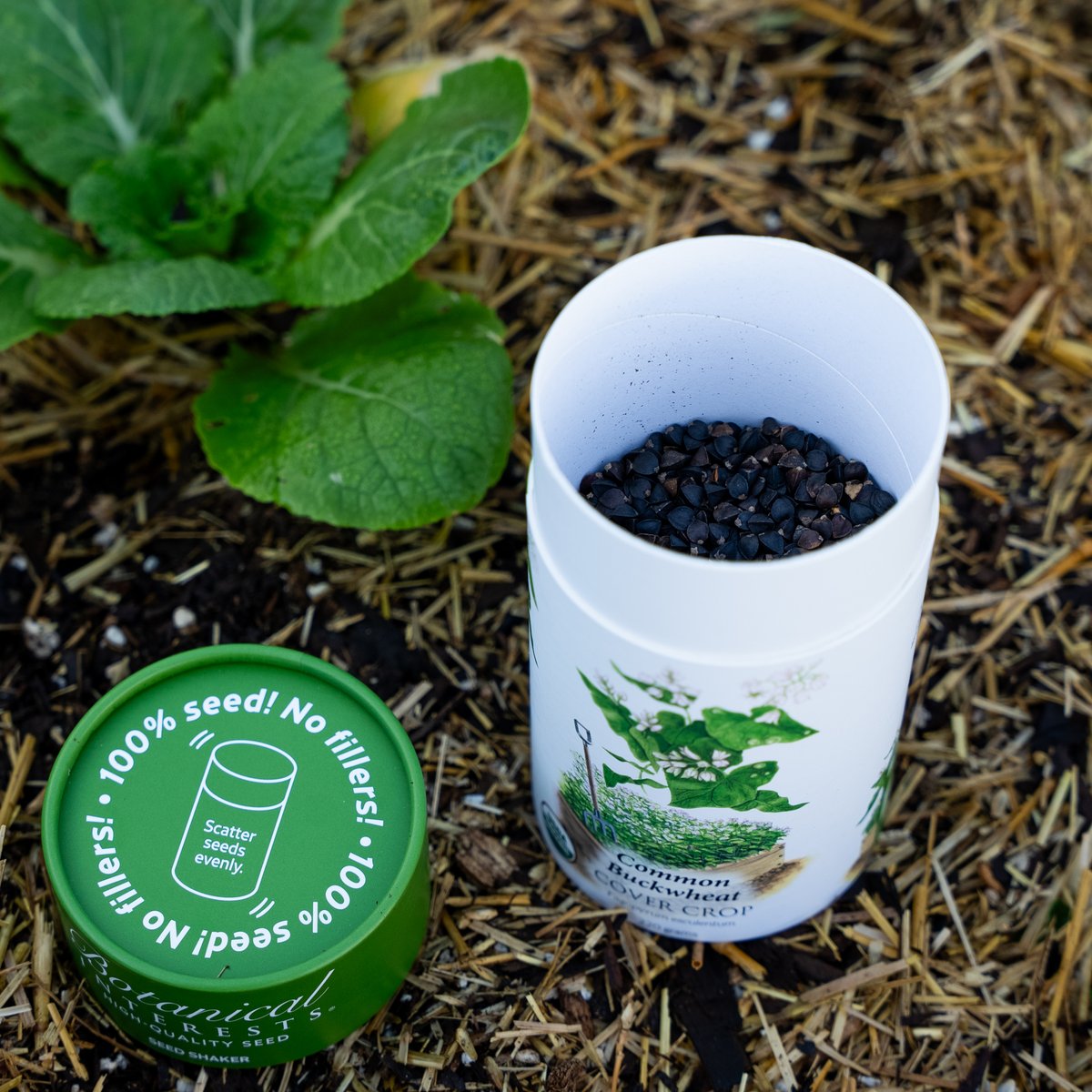 Botanical Interests 🌻 tweet media