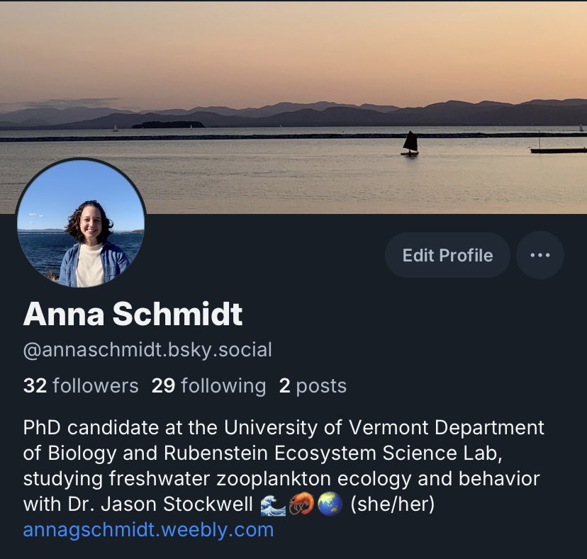 Anna Schmidt tweet media