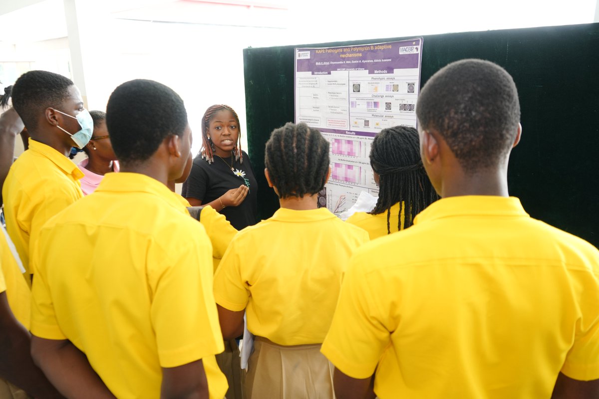 AMR @WACCBIP (@amr_waccbip) on Twitter photo Our #AMR champions educated SHS students on AMR concepts, showcasing our AMR studies <a href="/AMR_WACCBIP/">AMR @WACCBIP</a> <a href="/IsawumiAbiola/">Isawumi Abiola</a>; fostering a new generation of AMR fighters through deep interactions and engaging discussions #WAAW24 #WAAW2024. <a href="/WACCBIP_UG/">WACCBIP</a> <a href="/gordon_awandare/">Gordon Awandare</a> <a href="/UnivofGh/">University of Ghana</a> <a href="/WHO/">World Health Organization (WHO)</a> Our #AMR champions educated SHS students on AMR concepts, showcasing our AMR studies <a href="/AMR_WACCBIP/">AMR @WACCBIP</a> <a href="/IsawumiAbiola/">Isawumi Abiola</a>; fostering a new generation of AMR fighters through deep interactions and engaging discussions #WAAW24 #WAAW2024. <a href="/WACCBIP_UG/">WACCBIP</a> <a href="/gordon_awandare/">Gordon Awandare</a> <a href="/UnivofGh/">University of Ghana</a> <a href="/WHO/">World Health Organization (WHO)</a>