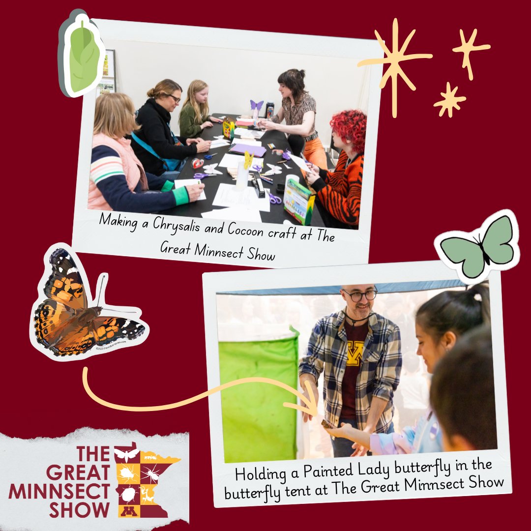 Entomology is for everyone! With no entrance or activity fees, The Great Minnsect Show is completely free for all attendees. Join the swarm of insect enthusiasts and make a donation today to support out outreach mission! z.umn.edu/entoGTM24

#umngive #gtmd24 #umnproud